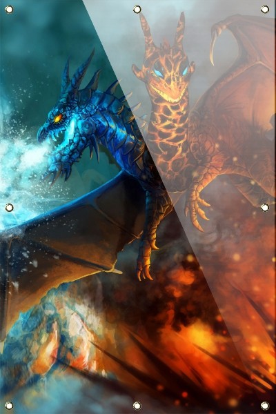 Jakiro