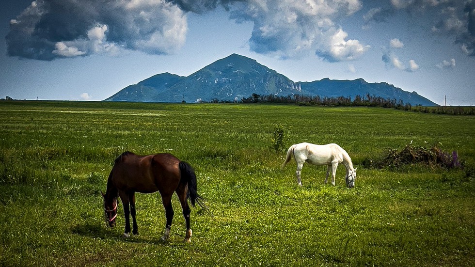 Справочник жителя села Садовое