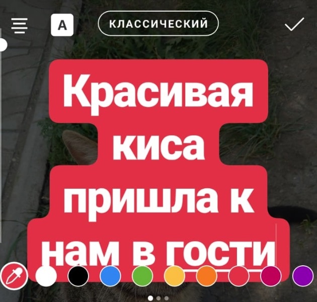 Сторис в Instagram. Он же Stories, они же Истории, они же Сторис.